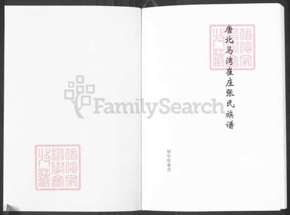 河南省南阳市唐河县源潭镇张氏族谱-唐北马湾崔庄张氏族谱.pdf电子版预览图1
