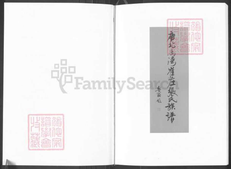 河南省南阳市唐河县源潭镇张氏族谱-唐北马湾崔庄张氏族谱.pdf电子版预览图3