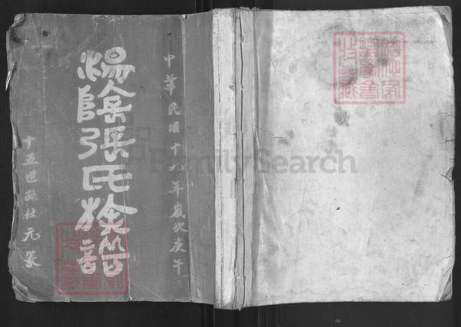 河南省安阳市汤阴县任固镇张氏族谱-汤阴张氏族谱.pdf电子版缩略图