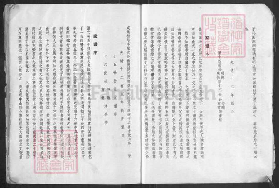 河南省安阳市汤阴县任固镇张氏族谱-汤阴张氏族谱.pdf电子版预览图3