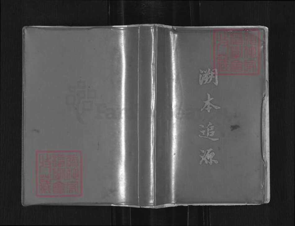 湖南省长沙市浏阳市沙市镇张氏族谱-清河郡陵官圹后裔备忘录.pdf电子版缩略图