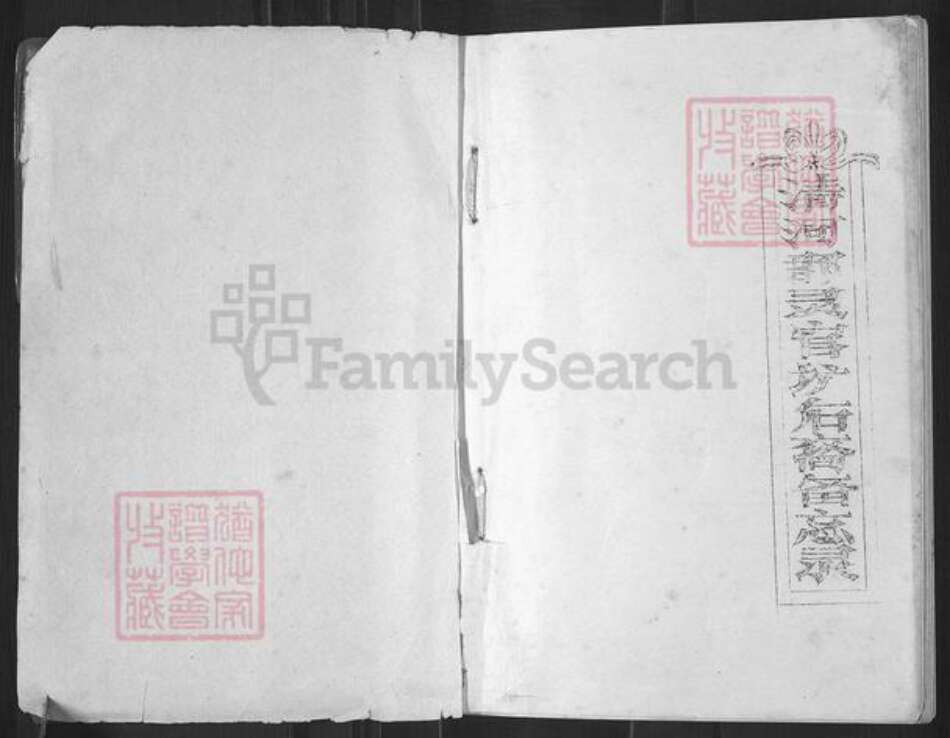 湖南省长沙市浏阳市沙市镇张氏族谱-清河郡陵官圹后裔备忘录.pdf电子版预览图1