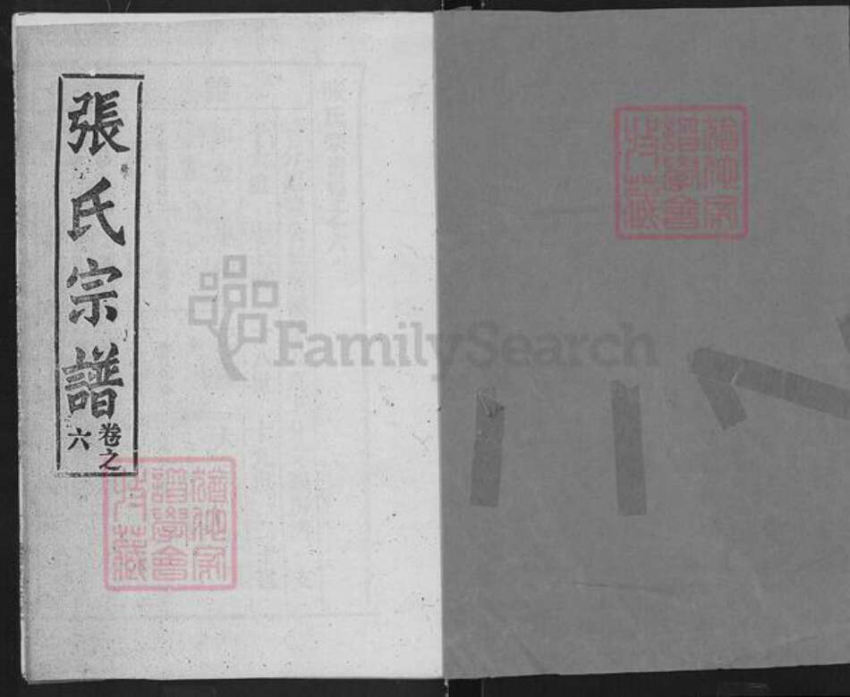 湖北省武汉市新洲区辛冲街道张氏族谱-张氏宗谱.pdf电子版预览图1