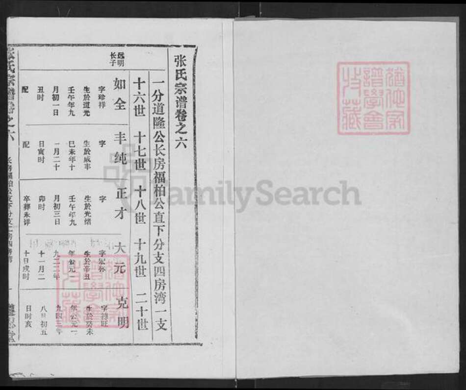 湖北省武汉市新洲区辛冲街道张氏族谱-张氏宗谱.pdf电子版预览图2