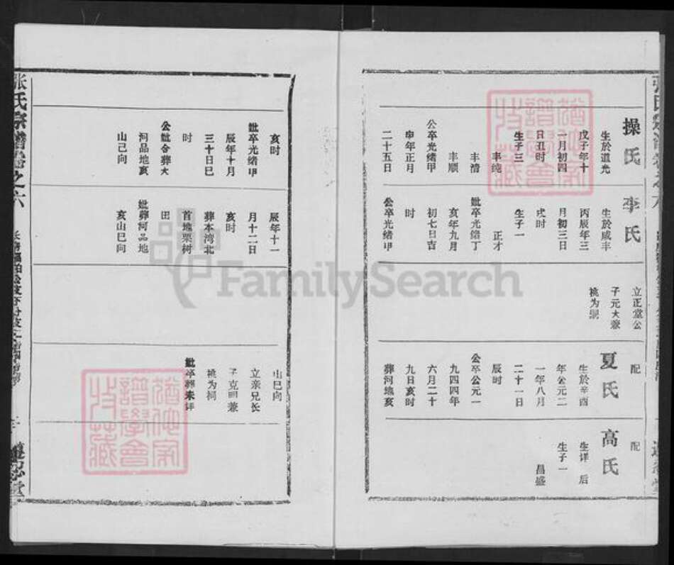 湖北省武汉市新洲区辛冲街道张氏族谱-张氏宗谱.pdf电子版预览图3