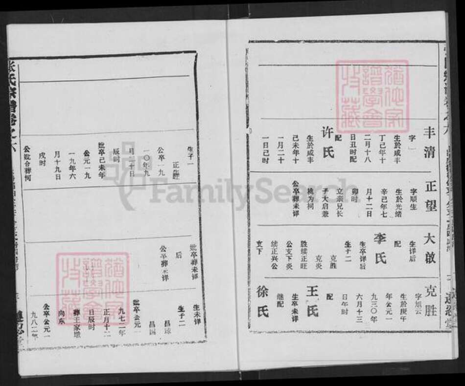 湖北省武汉市新洲区辛冲街道张氏族谱-张氏宗谱.pdf电子版预览图4