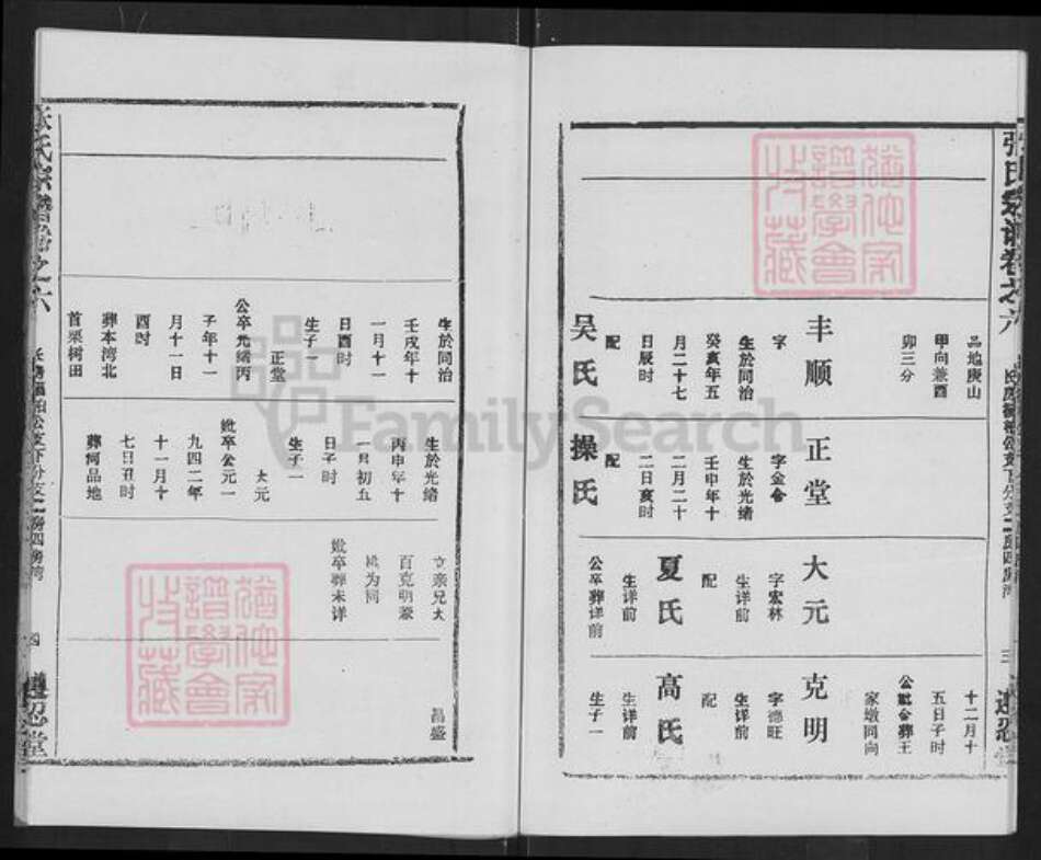 湖北省武汉市新洲区辛冲街道张氏族谱-张氏宗谱.pdf电子版预览图5