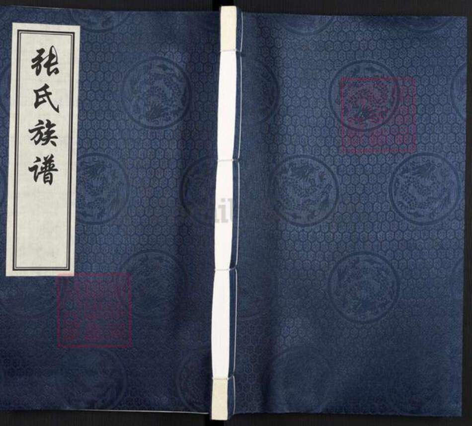 河北省沧州河间市张氏族谱-张氏族谱.pdf电子版缩略图