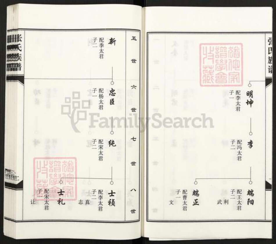 河北省沧州河间市张氏族谱-张氏族谱.pdf电子版预览图4