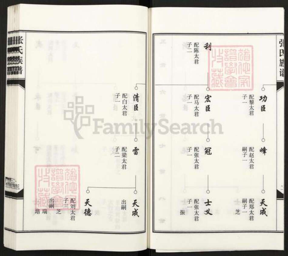 河北省沧州河间市张氏族谱-张氏族谱.pdf电子版预览图5