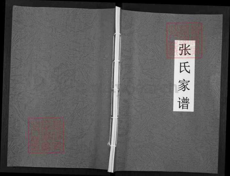 福建省龙岩市武平县东留乡张氏族谱-张氏家谱.pdf电子版缩略图