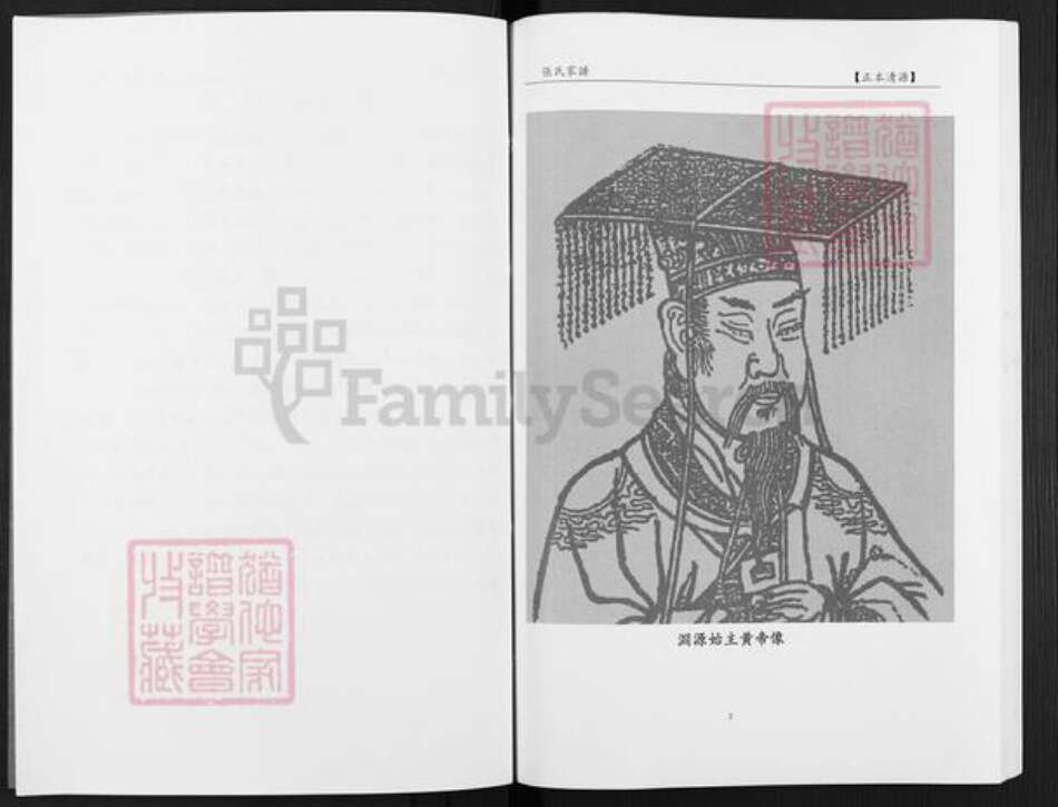 福建省龙岩市武平县东留乡张氏族谱-张氏家谱.pdf电子版预览图3