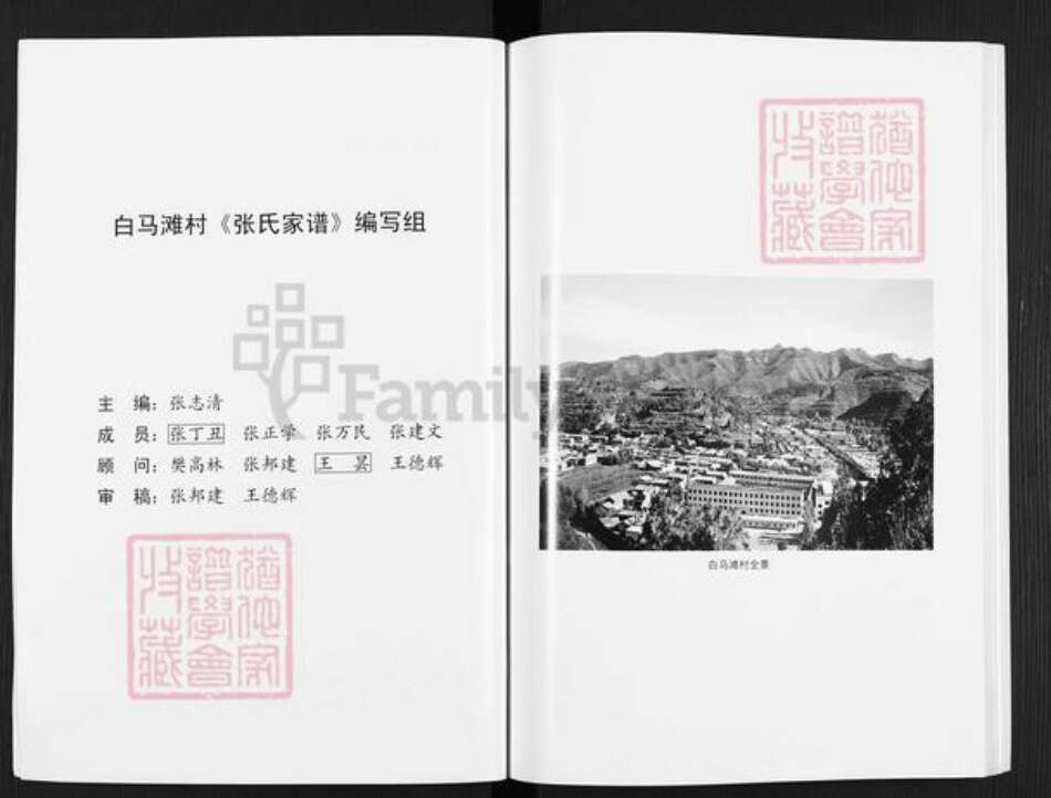 陕西省延安市黄龙县张氏族谱-张姓家谱.pdf电子版预览图2