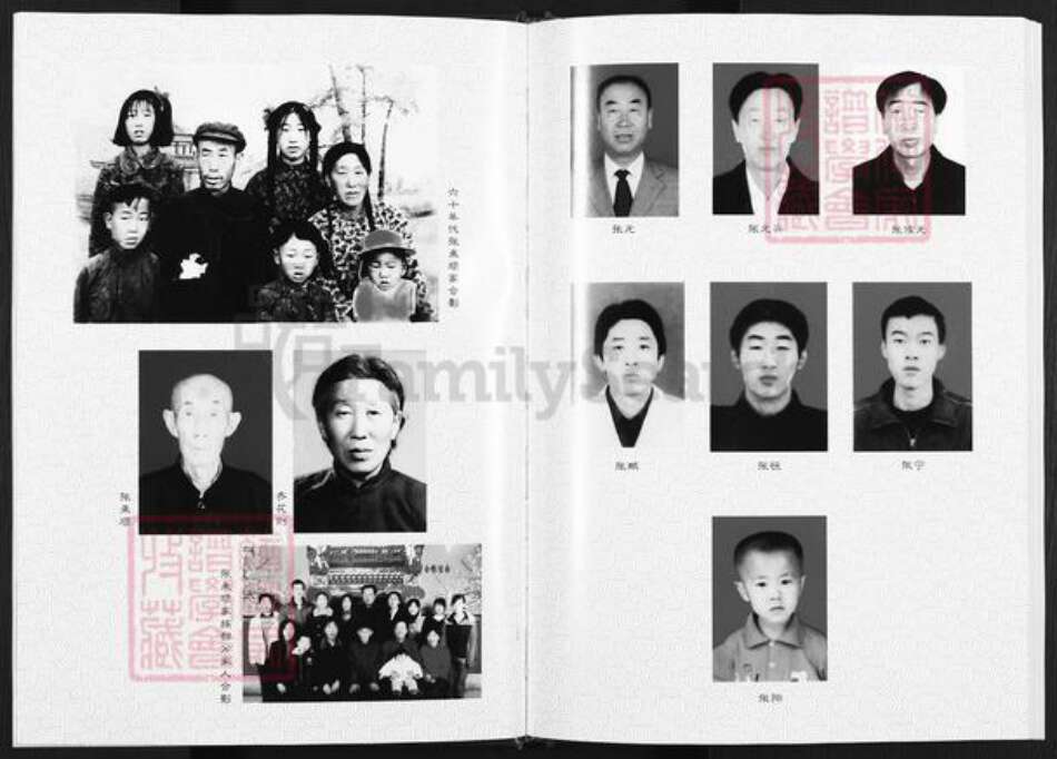 陕西省榆林神木市张氏族谱-张氏家谱.pdf电子版预览图4