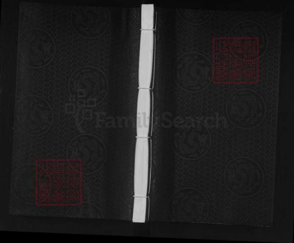 河北省沧州泊头市营子镇张氏族谱-张氏家谱.pdf电子版缩略图