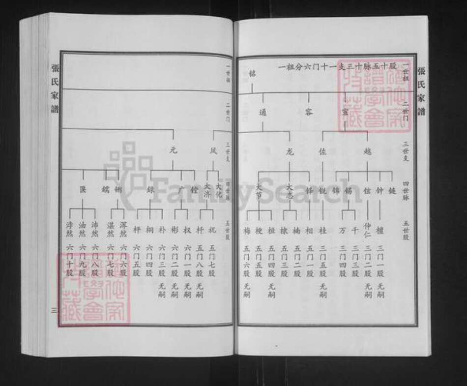 河北省沧州泊头市营子镇张氏族谱-张氏家谱.pdf电子版预览图4