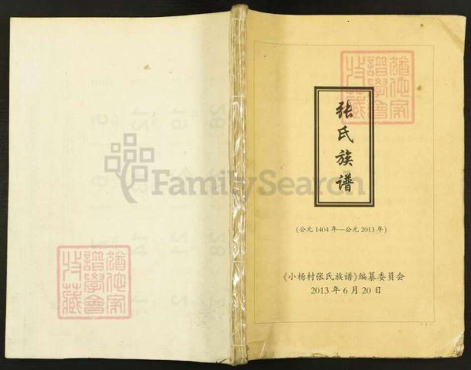 河北省沧州沧州地区黄骅市贾象张氏族谱-张氏族谱.pdf电子版缩略图