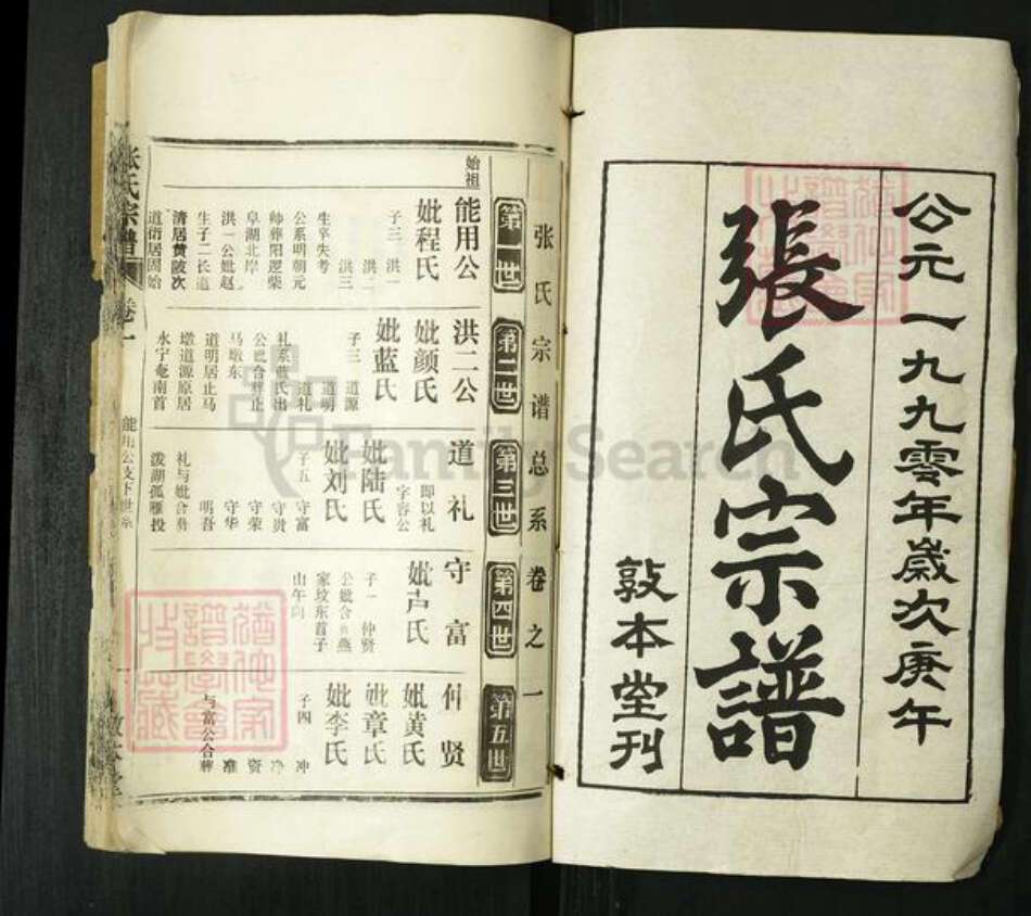 湖北省武汉市新洲区张氏敦本堂族谱-张氏宗谱.pdf电子版预览图1