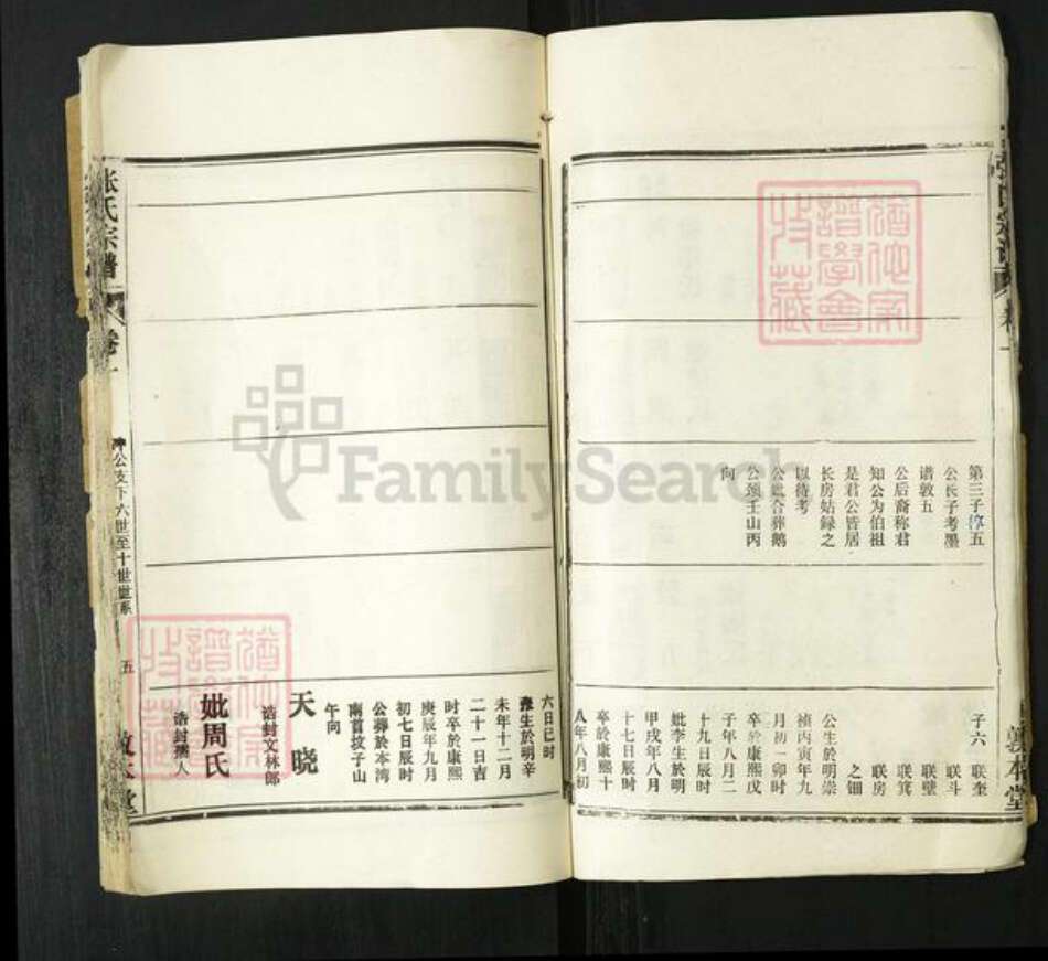 湖北省武汉市新洲区张氏敦本堂族谱-张氏宗谱.pdf电子版预览图5