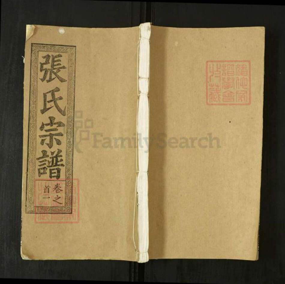 湖北省张氏敦本堂族谱-张氏宗谱.pdf电子版缩略图