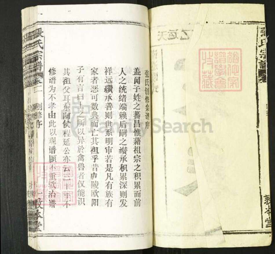 湖北省张氏敦本堂族谱-张氏宗谱.pdf电子版预览图2