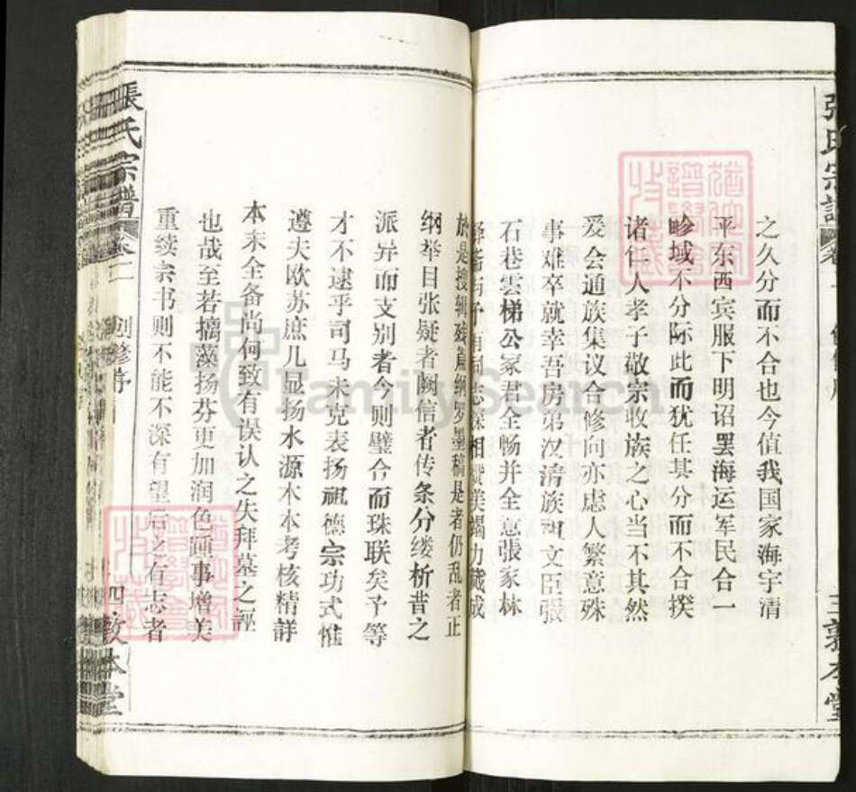 湖北省张氏敦本堂族谱-张氏宗谱.pdf电子版预览图5