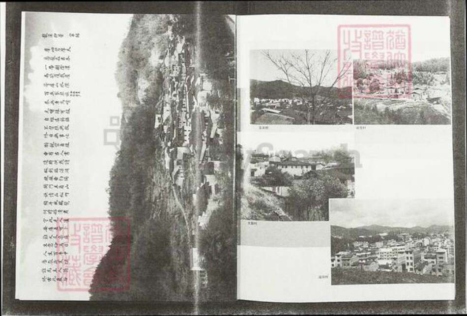 福建省莆田市仙游县游洋镇张氏清河堂族谱-龙溪张氏总谱.pdf电子版预览图2