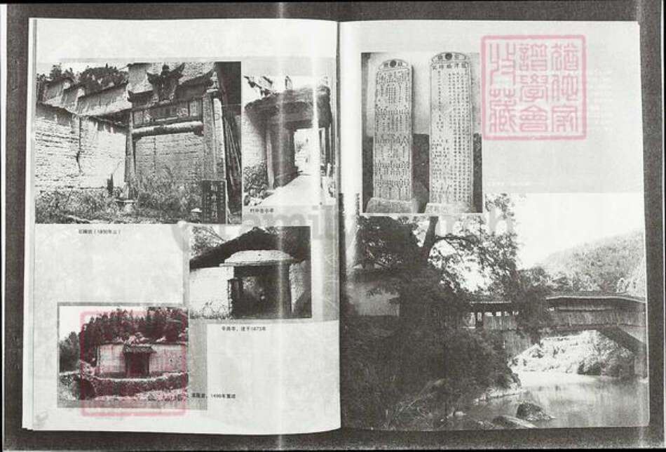 福建省莆田市仙游县游洋镇张氏清河堂族谱-龙溪张氏总谱.pdf电子版预览图3