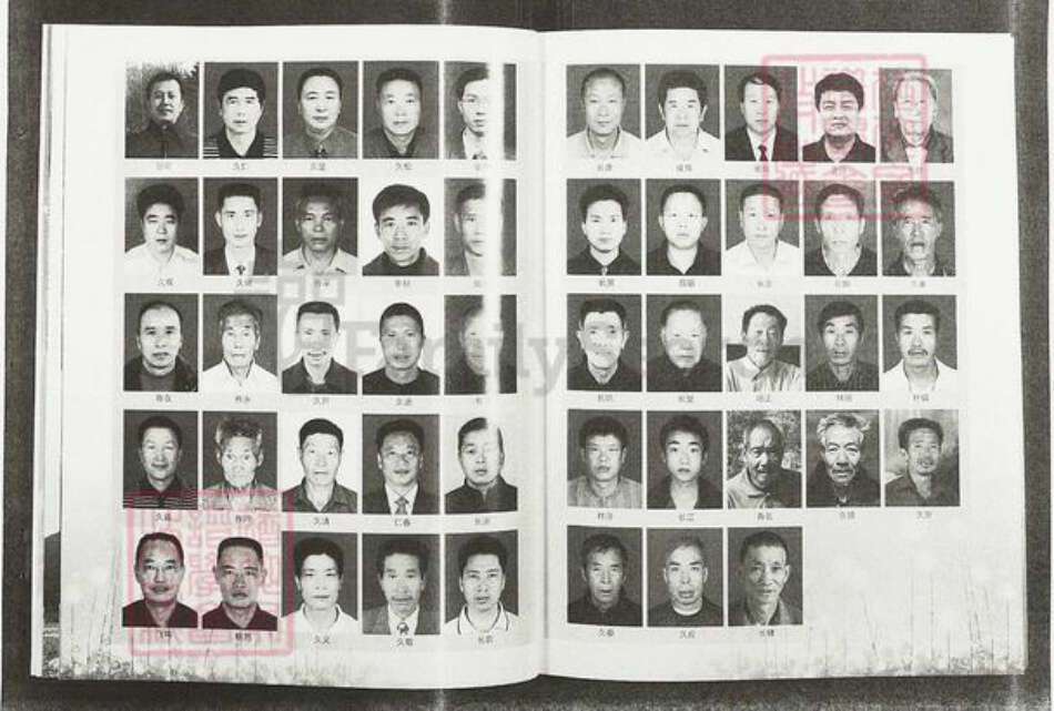 福建省莆田市仙游县游洋镇张氏清河堂族谱-龙溪张氏总谱.pdf电子版预览图4