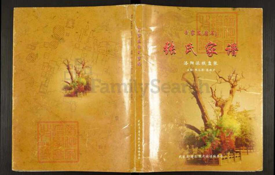 山西省太原市晋源区金胜镇张氏族谱-武家庄张氏家谱.pdf电子版缩略图