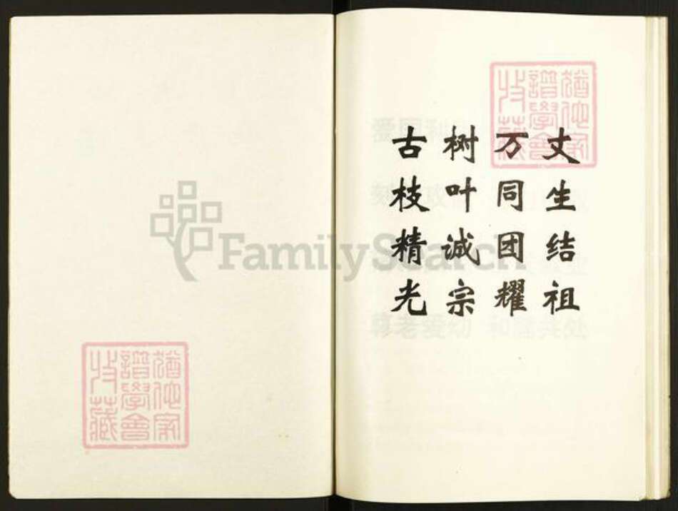 江苏省盐城市建湖县近湖街道张氏百忍堂族谱-张氏支谱.pdf电子版预览图1