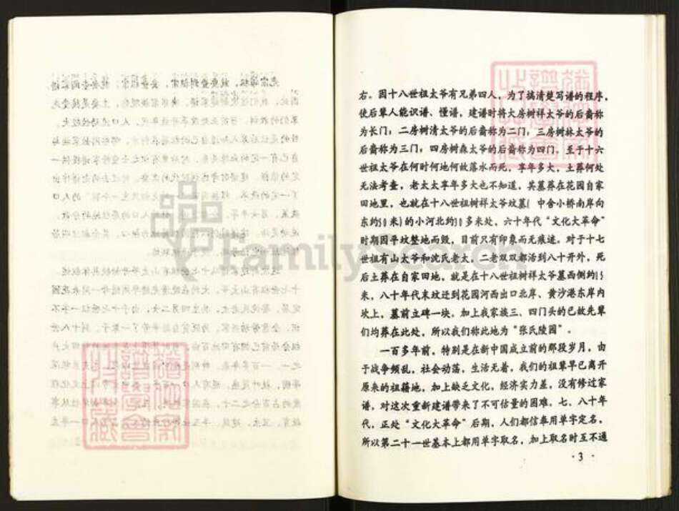江苏省盐城市建湖县近湖街道张氏百忍堂族谱-张氏支谱.pdf电子版预览图5