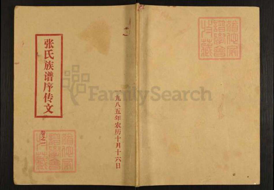 河南省商丘市宁陵县柳河镇张氏族谱-张氏族谱.pdf电子版缩略图