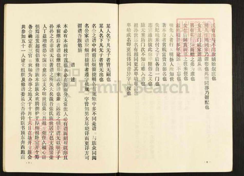 河南省商丘市宁陵县柳河镇张氏族谱-张氏族谱.pdf电子版预览图5