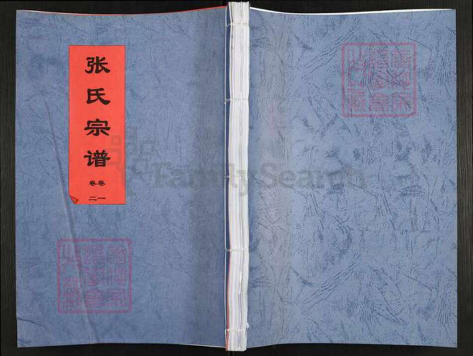 安徽省六安市六安马头镇张氏敦笃堂族谱-张氏宗谱.pdf电子版缩略图