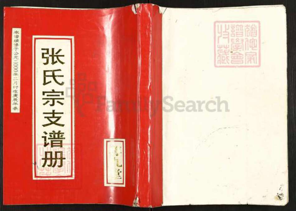 江苏省盐城市建湖县张氏尊九堂族谱-张氏宗支谱册.pdf电子版缩略图