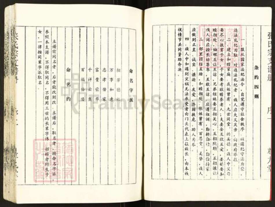 江苏省盐城市建湖县张氏尊九堂族谱-张氏宗支谱册.pdf电子版预览图2