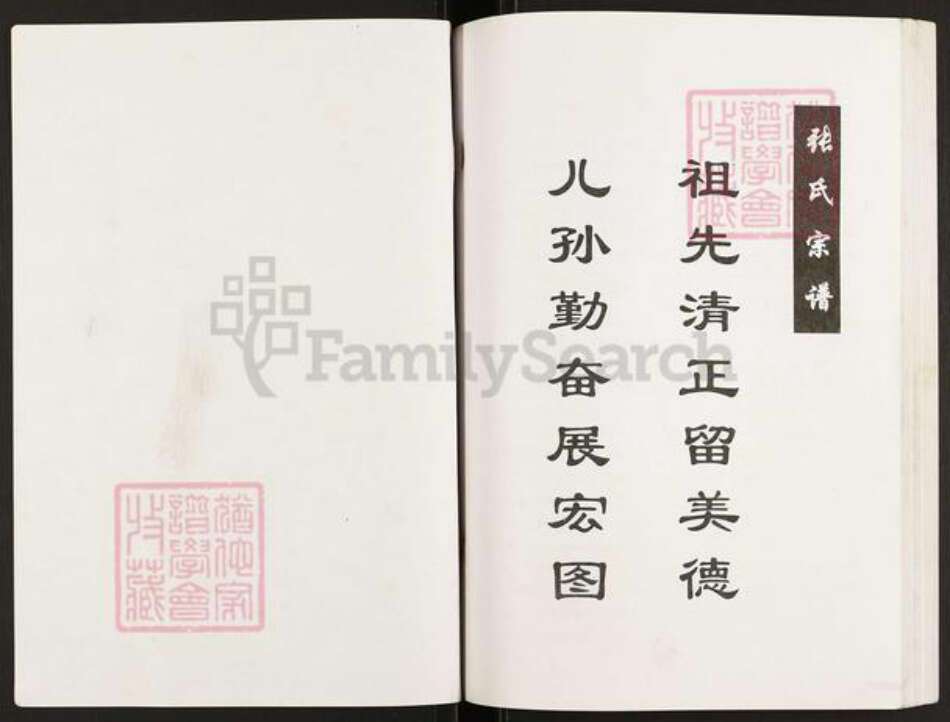 江苏省盐城市亭湖区张氏百忍堂族谱-盐城张氏宗谱.pdf电子版预览图1