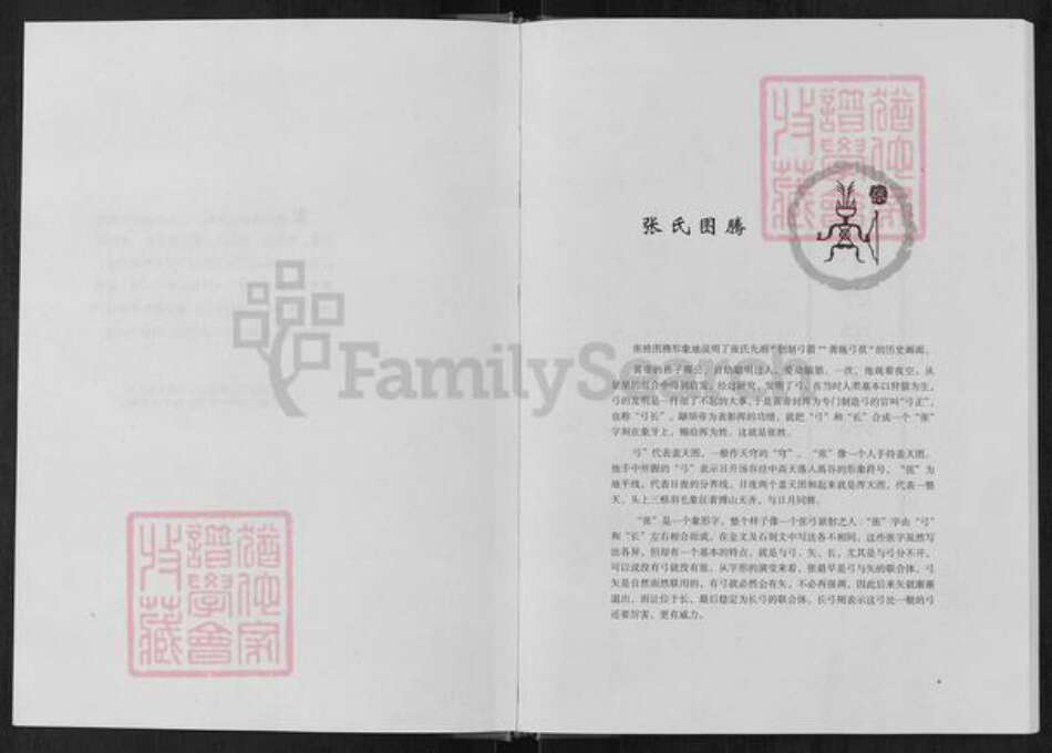 山东省淄博市周村区张氏族谱-前太师村张氏族谱.pdf电子版预览图2