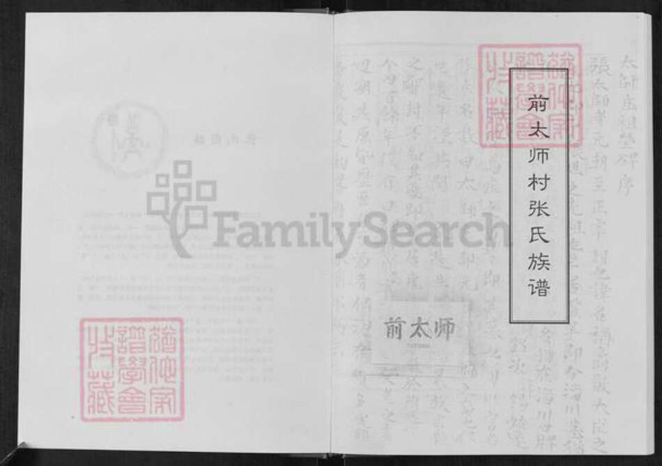山东省淄博市周村区张氏族谱-前太师村张氏族谱.pdf电子版预览图3