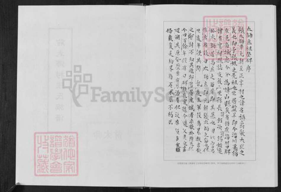 山东省淄博市周村区张氏族谱-前太师村张氏族谱.pdf电子版预览图4