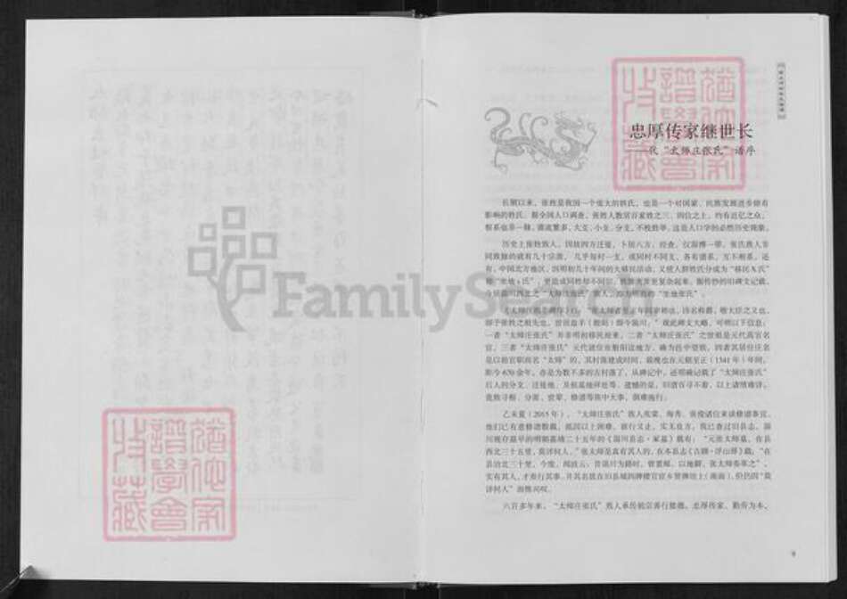 山东省淄博市周村区张氏族谱-前太师村张氏族谱.pdf电子版预览图5