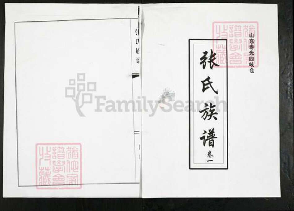 山东省潍坊市寿光市侯镇张氏族谱-张氏族谱.pdf电子版缩略图
