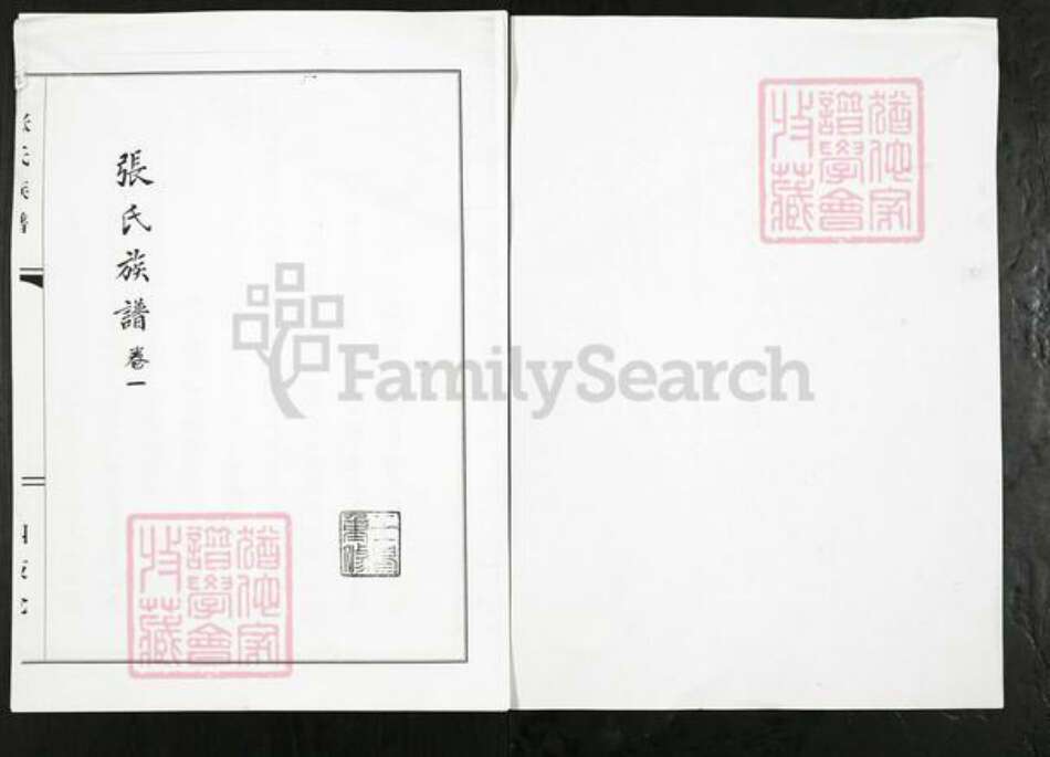 山东省潍坊市寿光市侯镇张氏族谱-张氏族谱.pdf电子版预览图1