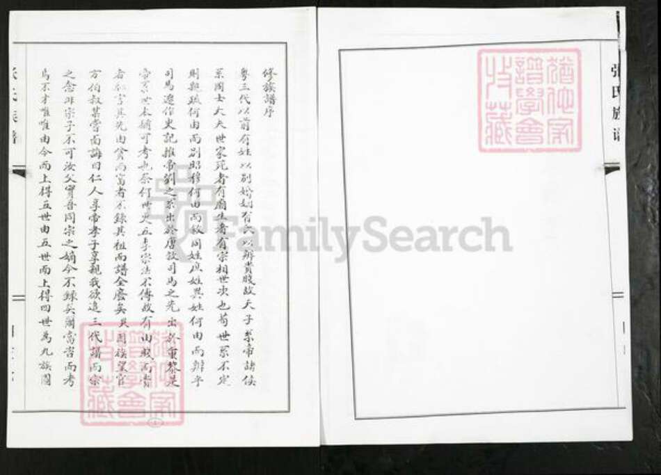 山东省潍坊市寿光市侯镇张氏族谱-张氏族谱.pdf电子版预览图2