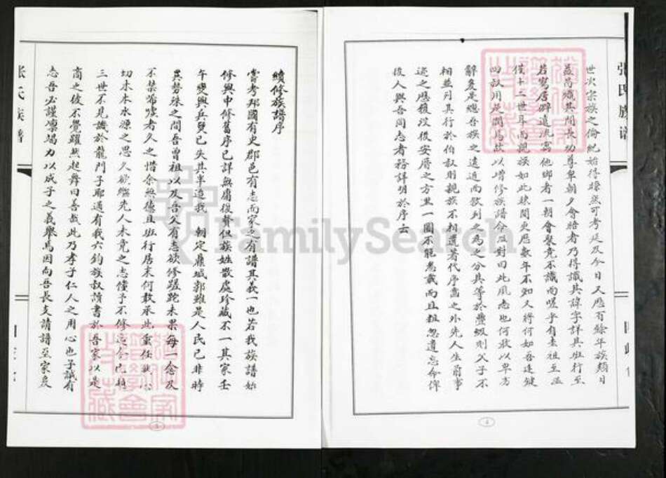 山东省潍坊市寿光市侯镇张氏族谱-张氏族谱.pdf电子版预览图4