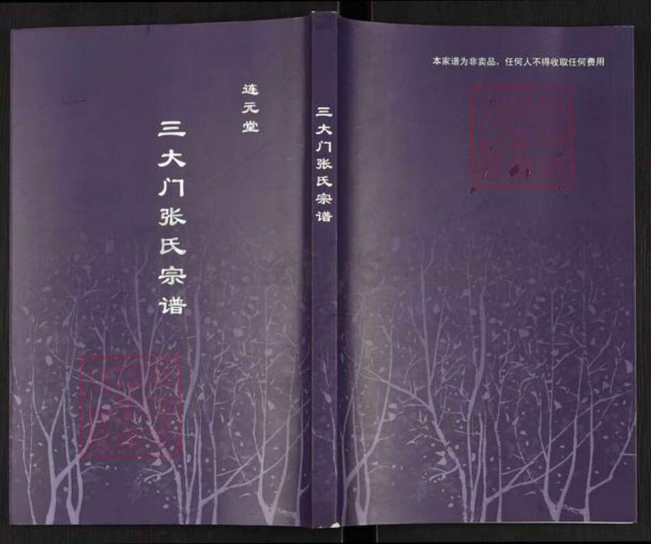 江苏省连云港市灌南县三口镇张氏连元堂族谱-三大门张氏宗谱.pdf电子版缩略图