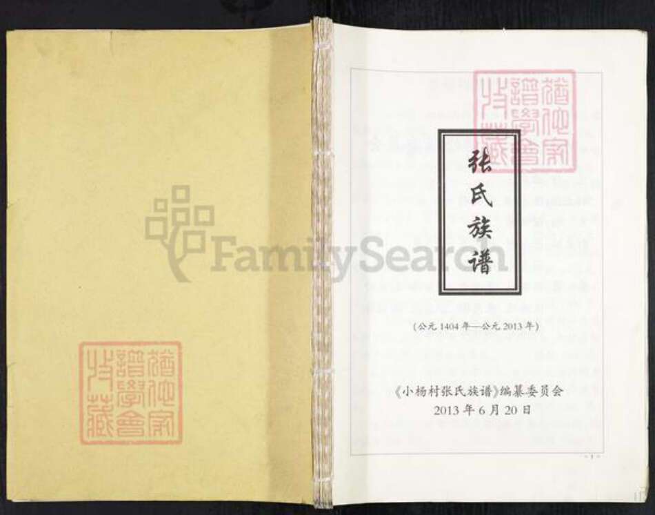 河北省沧州盐山县庆云镇张氏族谱-张氏族谱.pdf电子版缩略图