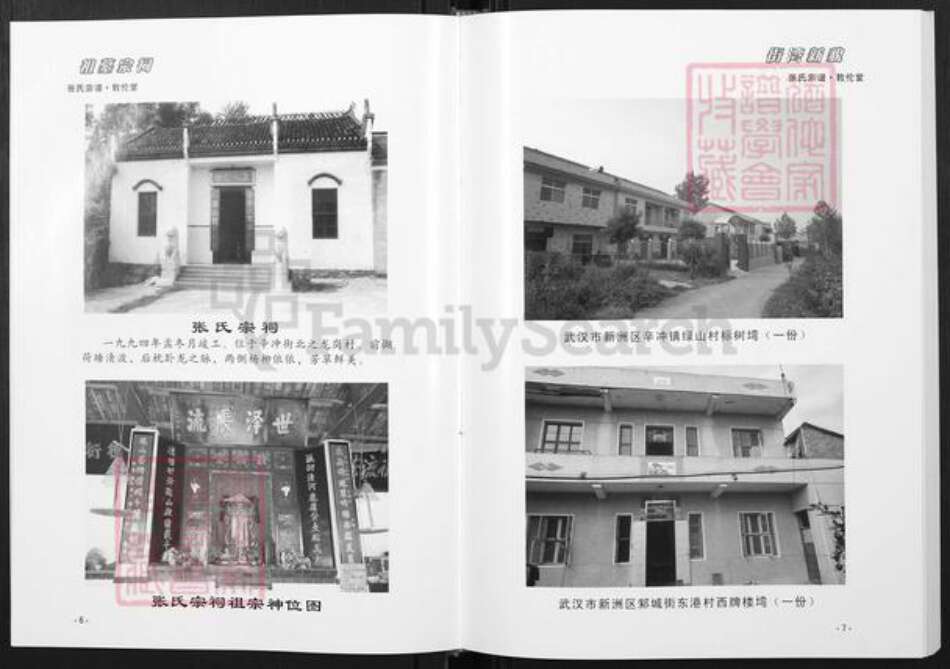 湖北省武汉市新洲区张氏敦伦堂族谱-张氏宗谱.pdf电子版预览图5