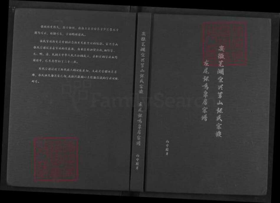安徽省芜湖市芜湖县湾沚镇张氏族谱-安徽芜湖宋兴芳山张氏宗族龙尾张鸣皋房宗谱.pdf电子版缩略图